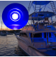 LED COURTESY LIGHT - 12 Volts - Blue - WK-LCL8-BL - AZLED